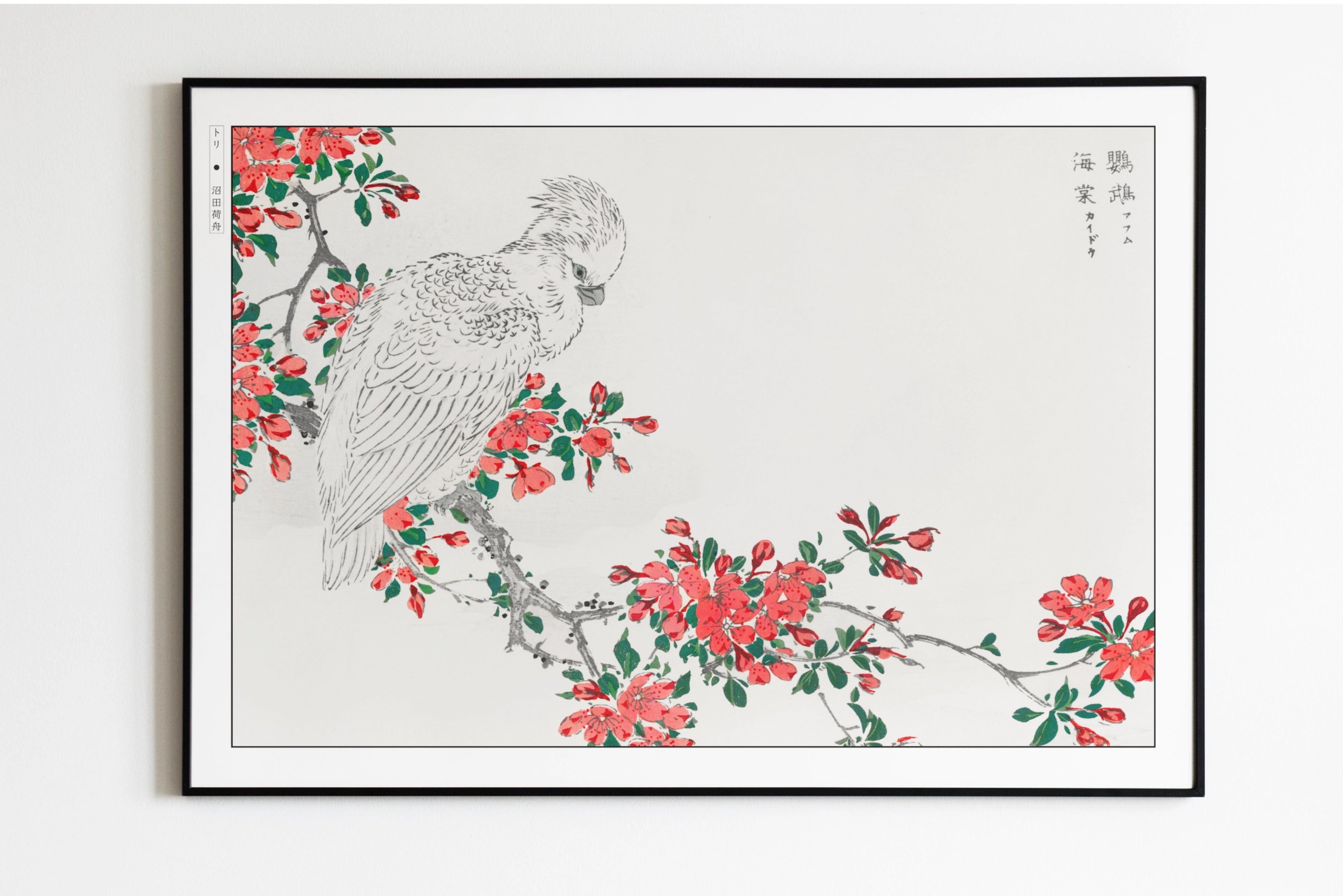 Numata Kashu - The Parrot & The Pyrus