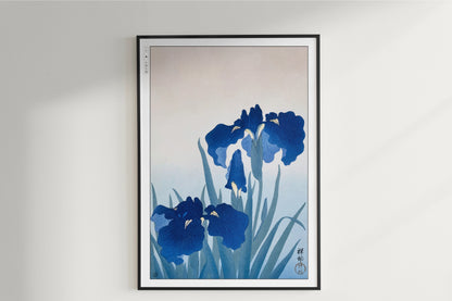 Ohara Koson - Irises - Art Only - Unframed