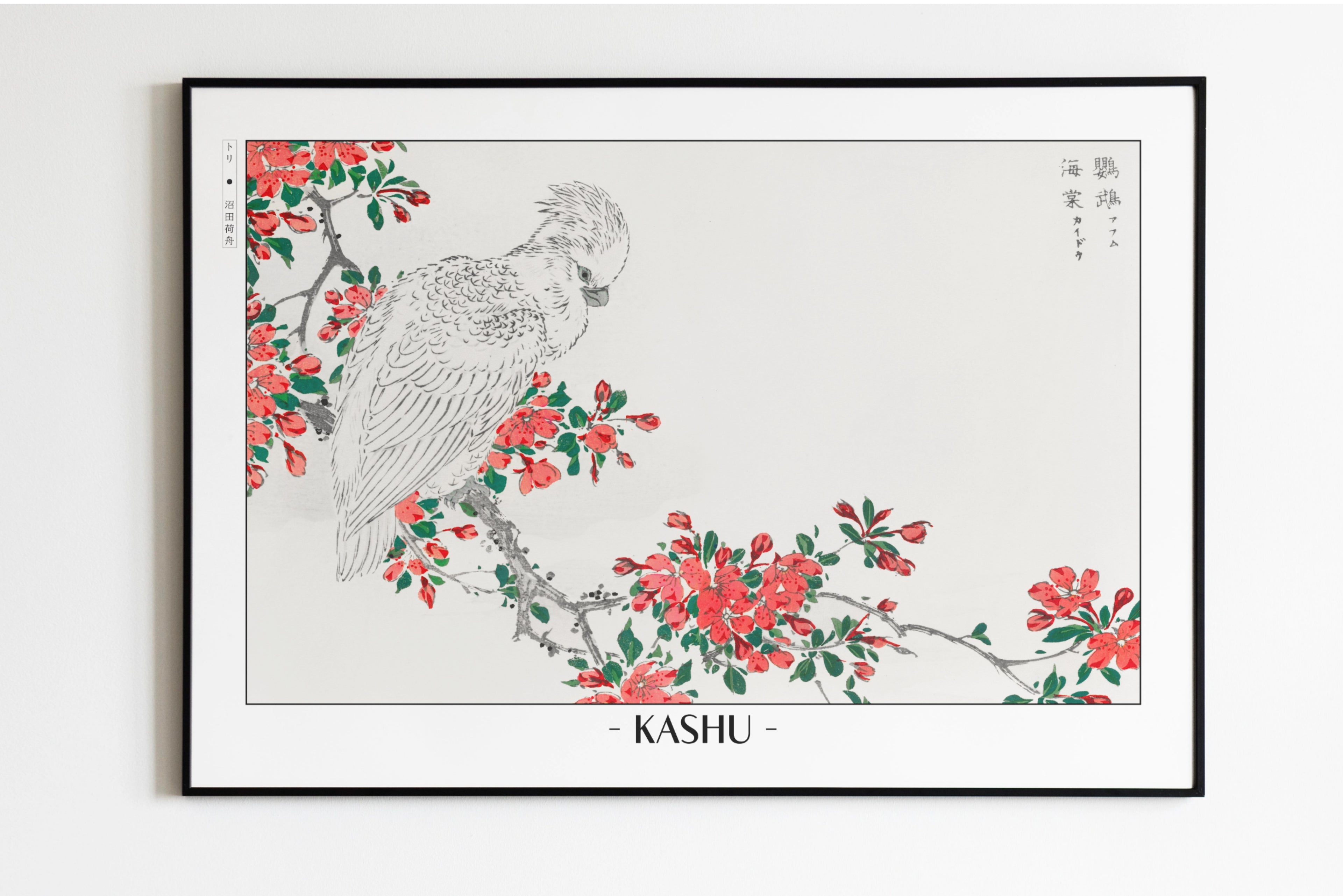 Numata Kashu - The Parrot & The Pyrus