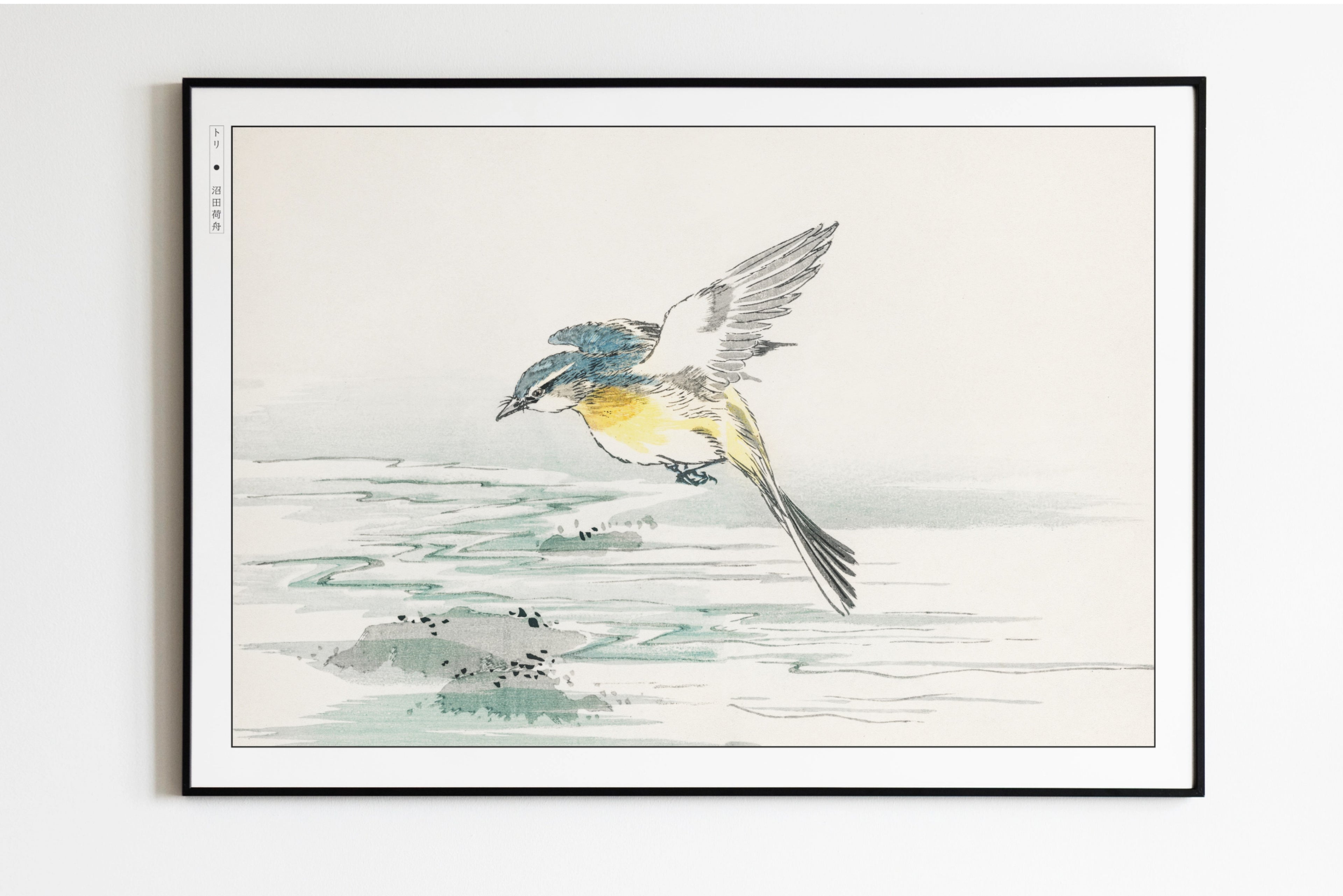 Numata Kashu - Grey Wagtail Bird