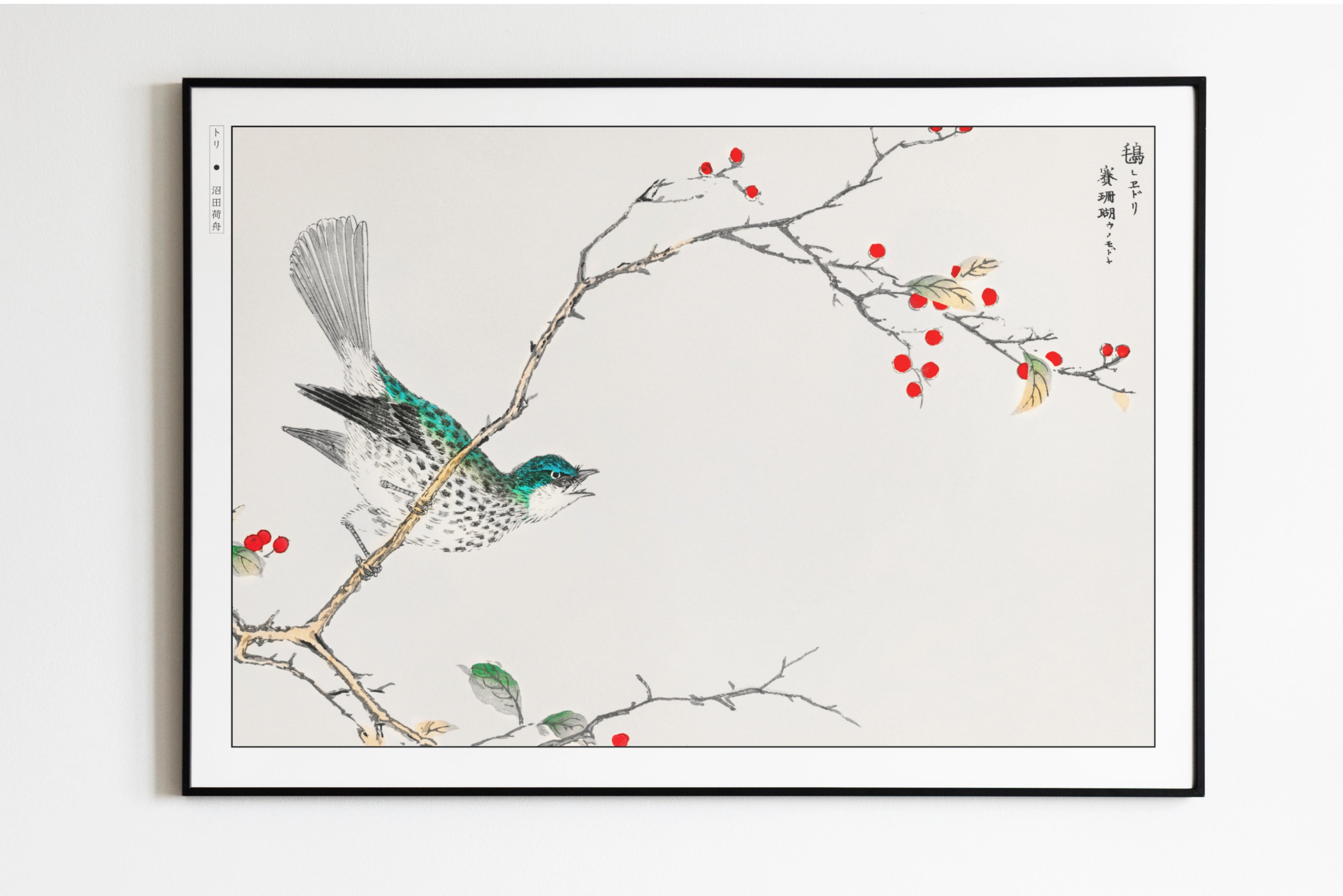 Numata Kashu - Brown-Eared Bulbul & Holly