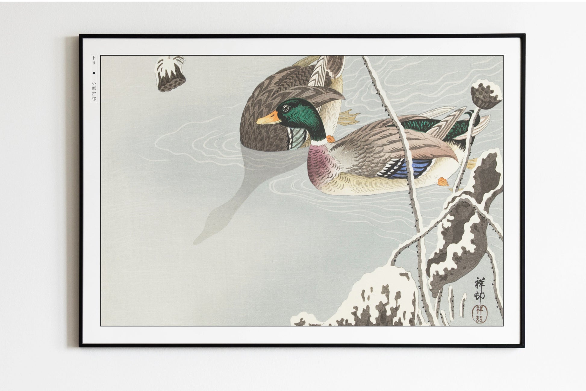 Ohara Koson - Two Mallards near a Snow-Covered Lotus - Art Only - Unframed
