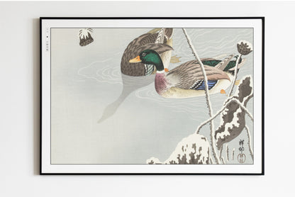 Ohara Koson - Two Mallards near a Snow-Covered Lotus - Art Only - Unframed