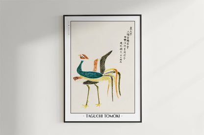 Taguchi Tomoki - Colourful Rooster - Artist Name - Black Frame