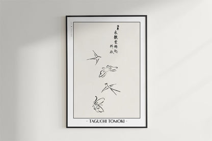 Taguchi Tomoki - Butterflies & Birds - Artist Name - Black Frame
