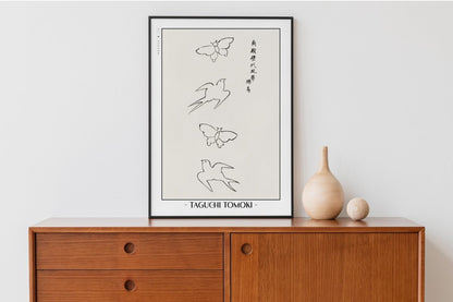 Taguchi Tomoki - Birds & Butterflies - Artist Name Unframed