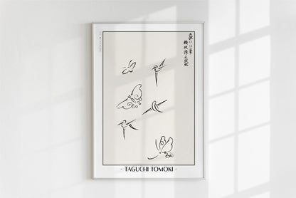 Taguchi Tomoki - Butterflies - Artist Name - White Frame
