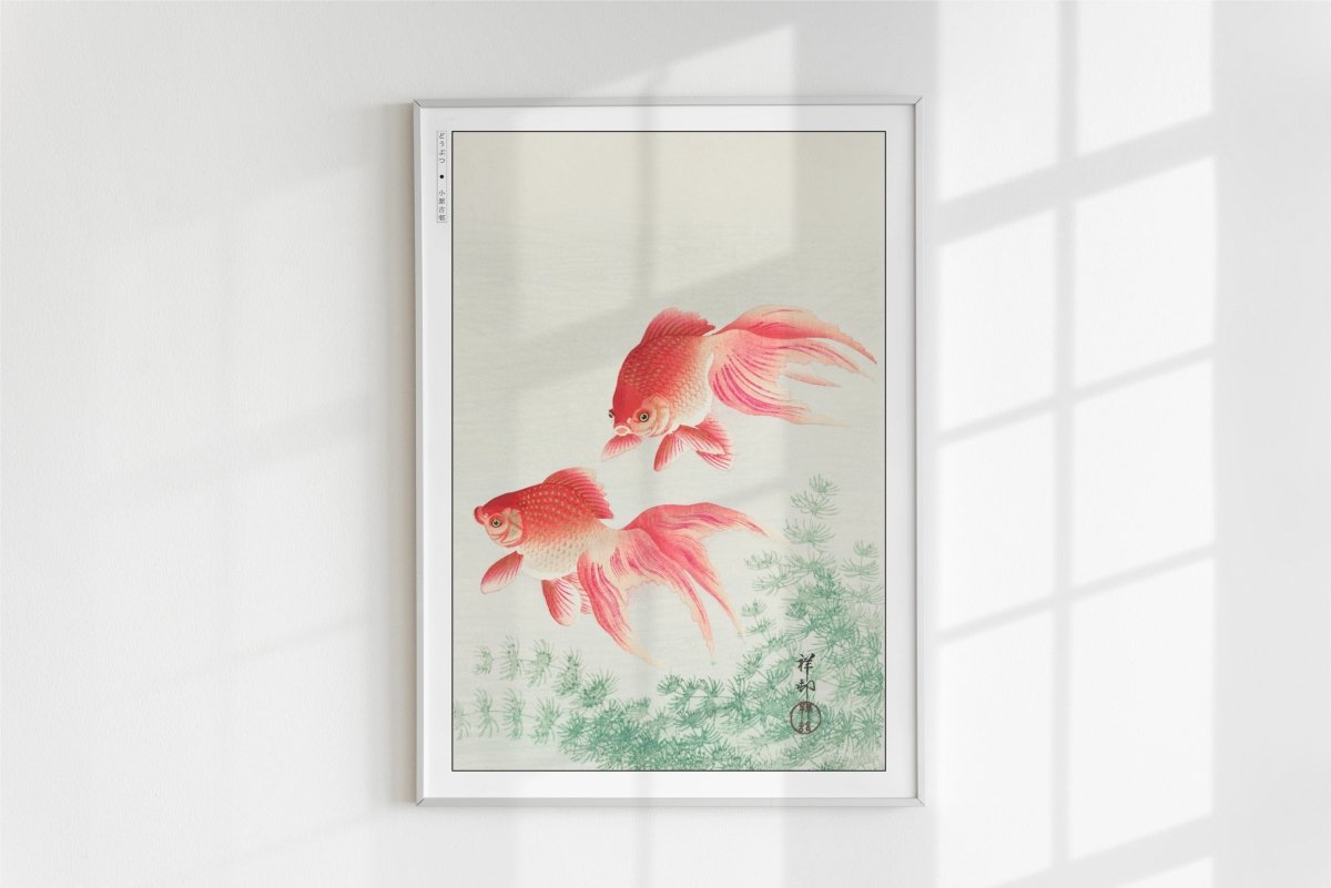 Ohara Koson - Two Veil Goldfish - Art Only - White Frame