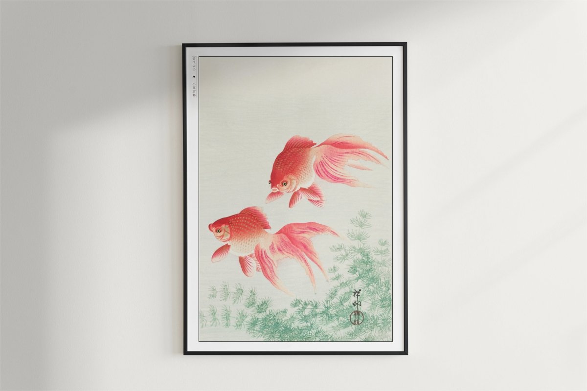 Ohara Koson - Two Veil Goldfish - Art Only - Black Frame