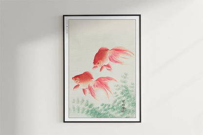 Ohara Koson - Two Veil Goldfish - Art Only - Black Frame