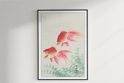 Ohara Koson - Two Veil Goldfish - Art Only - Unframed