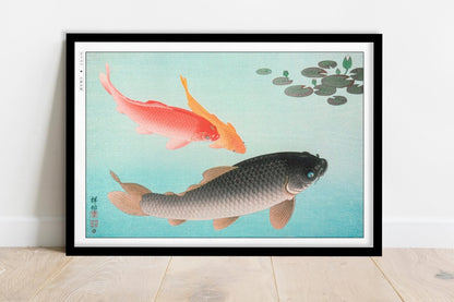 Ohara Koson - Common & Golden Carp - Art Only - Black Frame