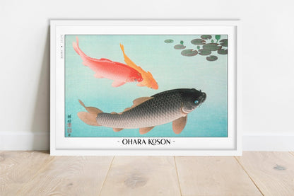 Ohara Koson - Common & Golden Carp - Artist Name - White Frame