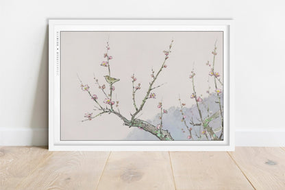 Studio Ghibli - Falling Blossoms - Art Only - White Frame