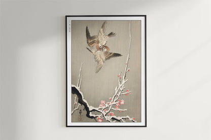 Ohara Koson - Sparrows & Snowy Plum Tree - Art Only - Black Frame