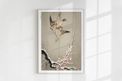 Ohara Koson - Sparrows & Snowy Plum Tree - Art Only - White Frame