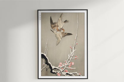 Ohara Koson - Sparrows & Snowy Plum Tree - Art Only - Unframed