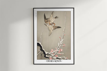Ohara Koson - Sparrows & Snowy Plum Tree - Artist Name - Black Frame