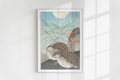 Ohara Koson - Two Quails at Full Moon - Art Only - White Frame