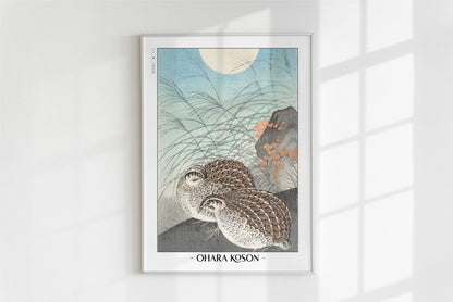 Ohara Koson - Two Quails at Full Moon - Artist Name - White Frame