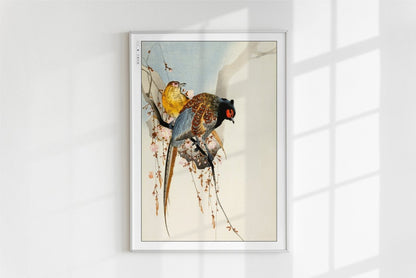 Ohara Koson - Pheasant Couple & Plum Blossom - Art Only - White Frame