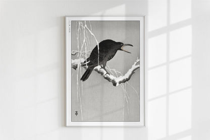 Ohara Koson - Cawing Crow on a Snowy Branch - Art Only - White Frame