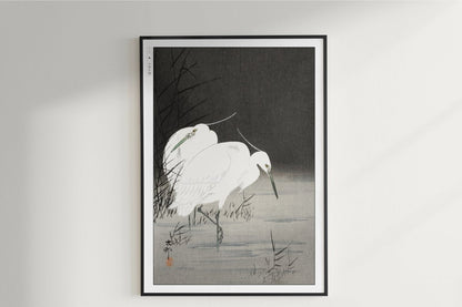 Ohara Koson - Two Egrets in the Reeds - Art Only - Unframed