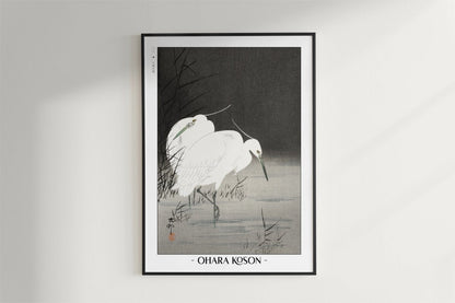Ohara Koson - Two Egrets in the Reeds - Artist Name - Black Frame