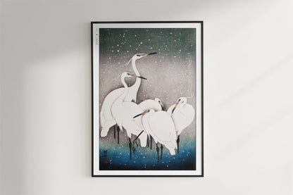 Ohara Koson - Group of Egrets - Art Only - Black Frame