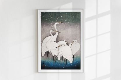 Ohara Koson - Group of Egrets - Art Only - White Frame