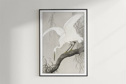 Ohara Koson - White Heron on a Tree Branch - Art Only - Black Frame