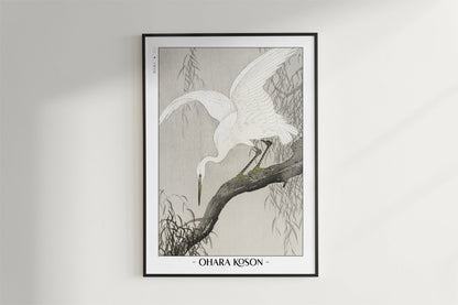Ohara Koson - White Heron on a Tree Branch - Artist Name - Black Frame