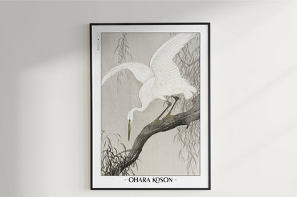 Ohara Koson - White Heron on a Tree Branch - Artist Name Unframed