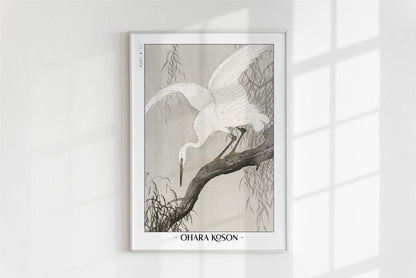 Ohara Koson - White Heron on a Tree Branch - Artist Name - White Frame