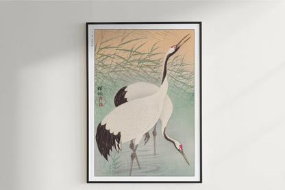 Ohara Koson - Two Cranes - Art Only - Unframed