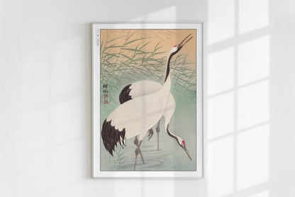 Ohara Koson - Two Cranes - Art Only - White Frame