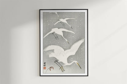 Ohara Koson - Descending Egrets in Snow - Art Only - Black Frame