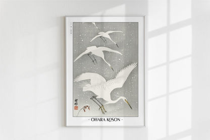 Ohara Koson - Descending Egrets in Snow - Artist Name - White Frame
