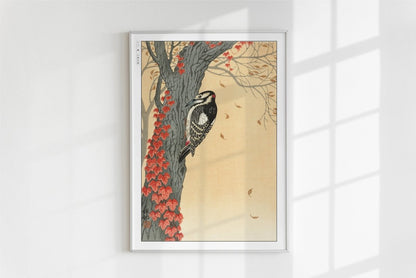 Ohara Koson - Great Spotted Woodpecker in Tree with Red Ivy - Art Only - White Frame