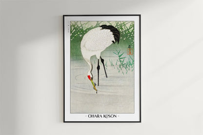 Ohara Koson - Crane Fishing in Shallow Water - Art Only - Black Frame