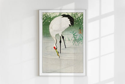 Ohara Koson - Crane Fishing in Shallow Water - Art Only - White Frame