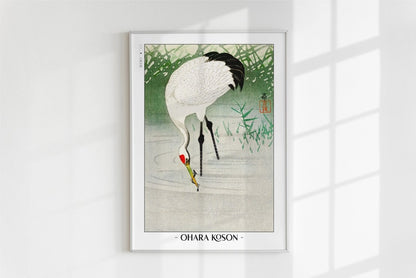Ohara Koson - Crane Fishing in Shallow Water - Artist Name - White Frame