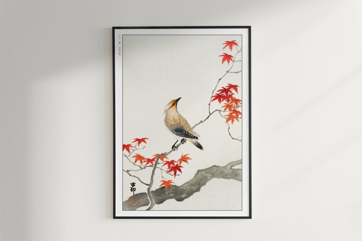 Ohara Koson - Japanese Plague Bird on Maple - Art Only - Black Frame