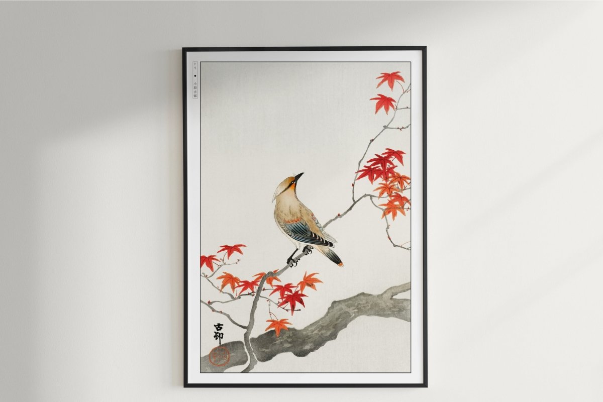 Ohara Koson - Japanese Plague Bird on Maple - Art Only - Unframed