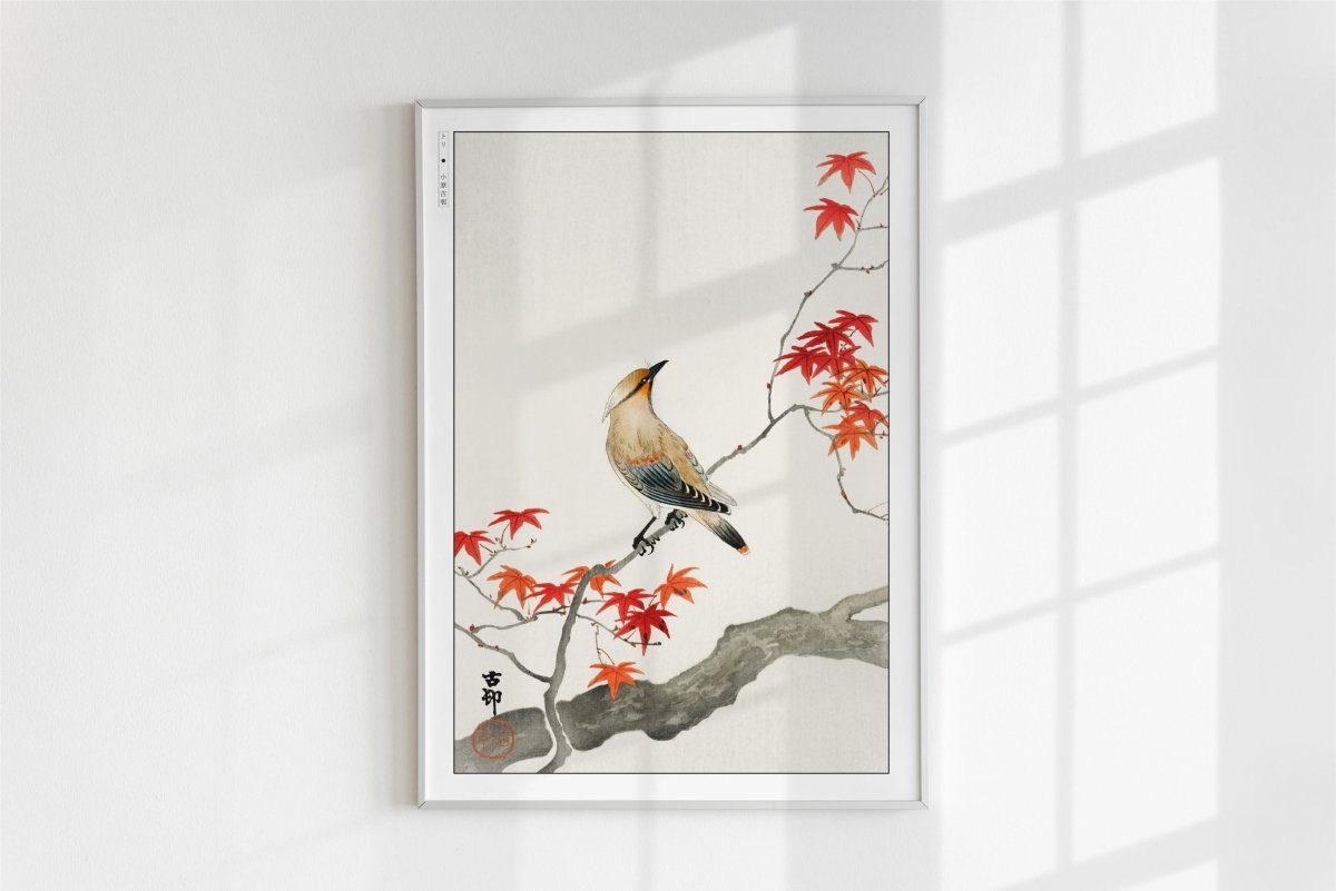 Ohara Koson - Japanese Plague Bird on Maple - Art Only - White Frame
