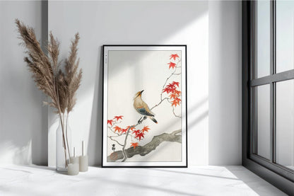 Ohara Koson - Japanese Plague Bird on Maple - Art Only with Decor
