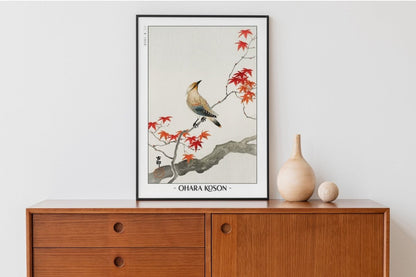 Ohara Koson - Japanese Plague Bird on Maple - Artist Name with Decor