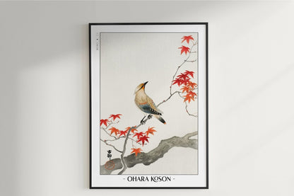 Ohara Koson - Japanese Plague Bird on Maple - Artist Name Unframed