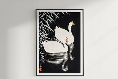 Ohara Koson - White Chinese Geese Swimming by Reeds - Art Only - Unframed