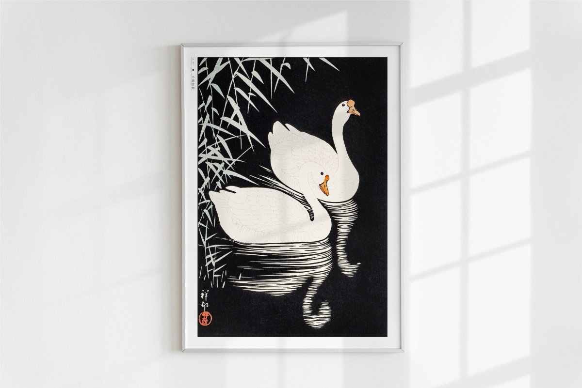 Ohara Koson - White Chinese Geese Swimming by Reeds - Art Only - White Frame